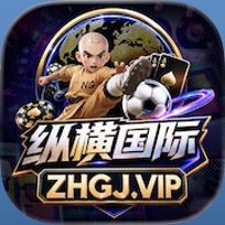 纵横国际